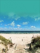 Düne am Ostseestrand von Binz